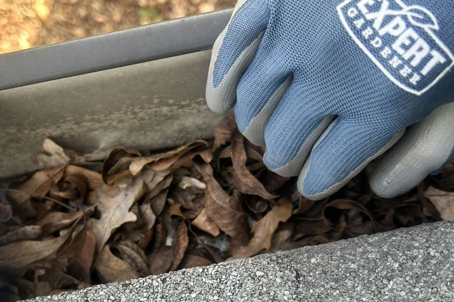 Gutter Cleaning Princeton