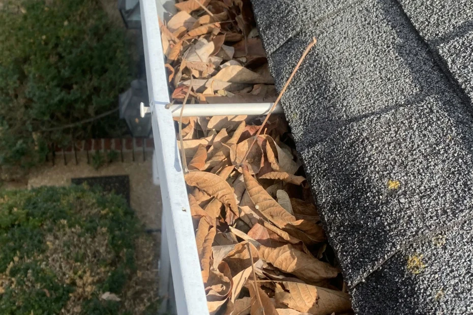 Gutter Cleaning Princeton