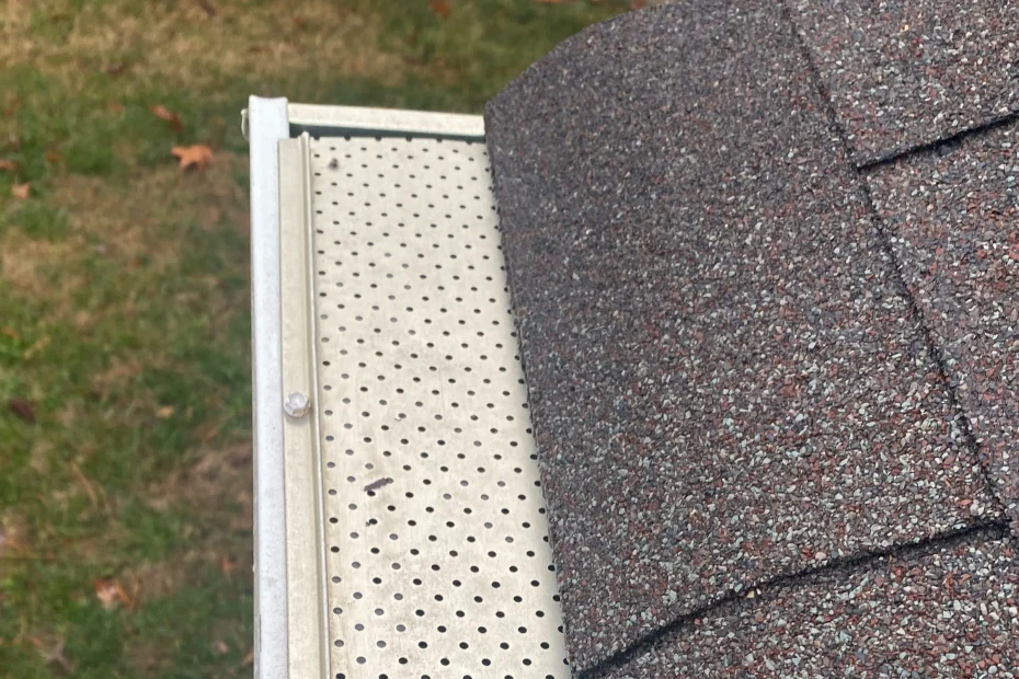 Gutter Cleaning Princeton