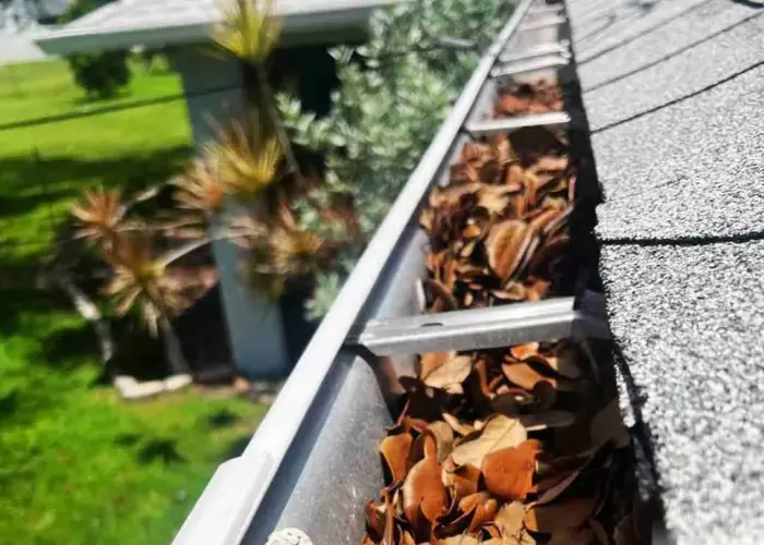 Gutter Cleaning Princeton home page